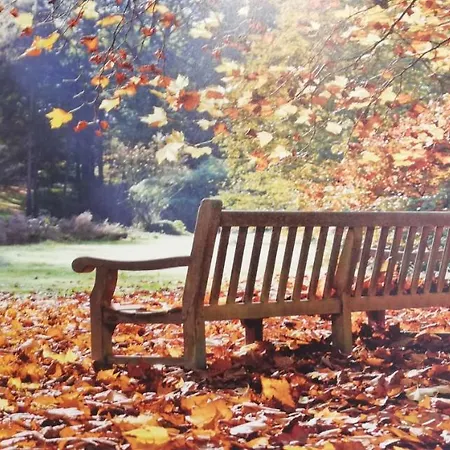 Center 2 アパート *