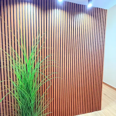 דירה Center 2