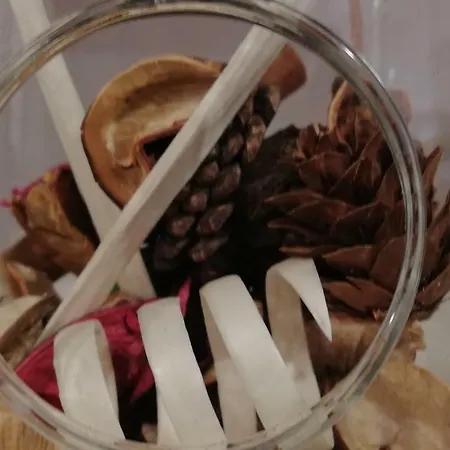 Center 2 Appartement *